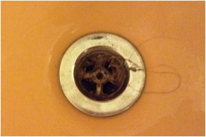 unclog shower drain