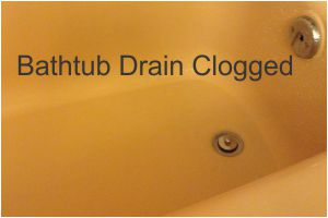 unclog drains